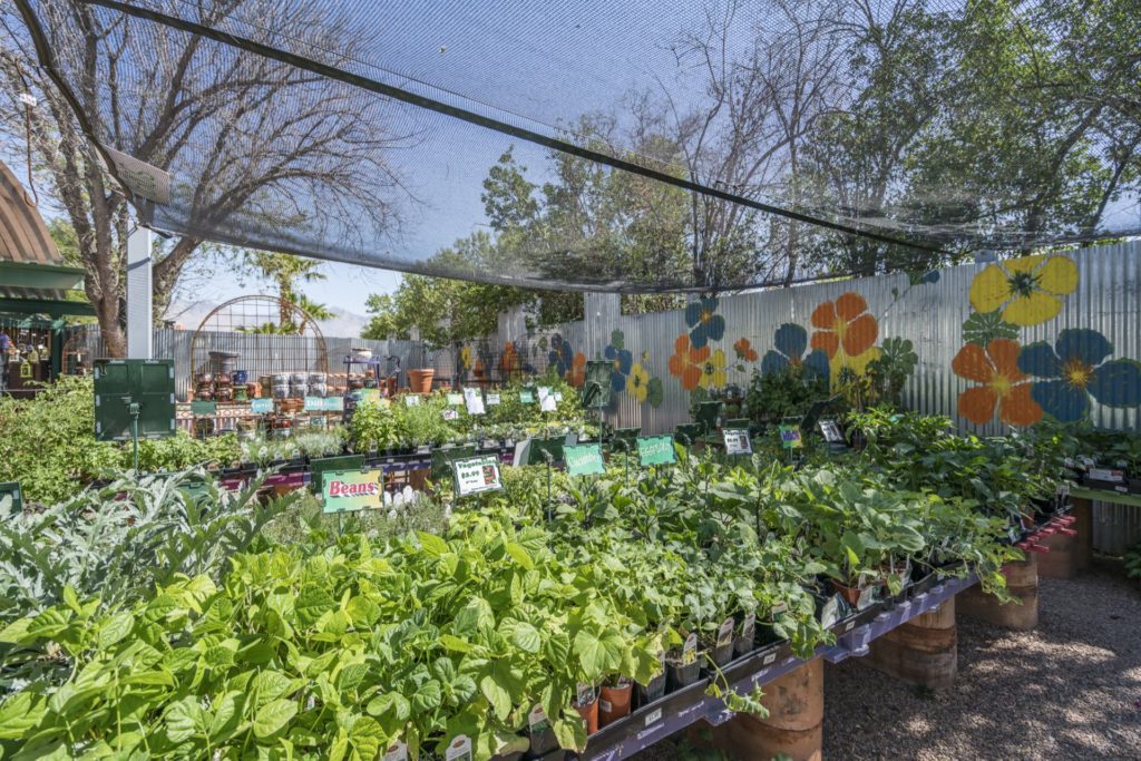 Products Harlow Gardens