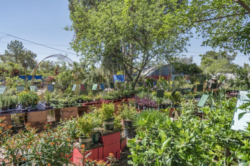 Products Harlow Gardens