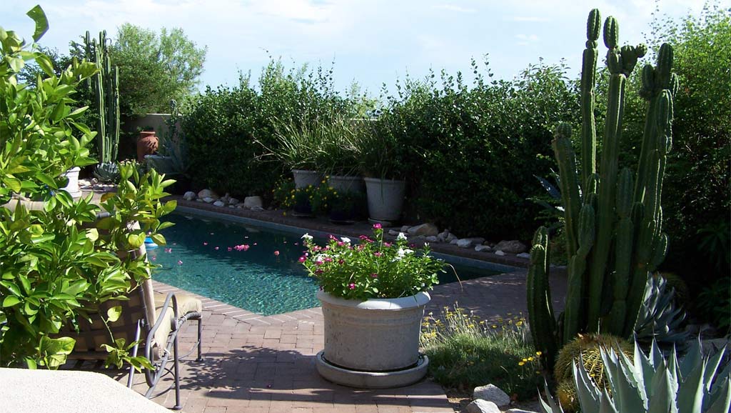 Irrigation Repair Tucson, Landscape Design Tucson Az