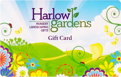 Harlow-Gardens-gift-card-frt