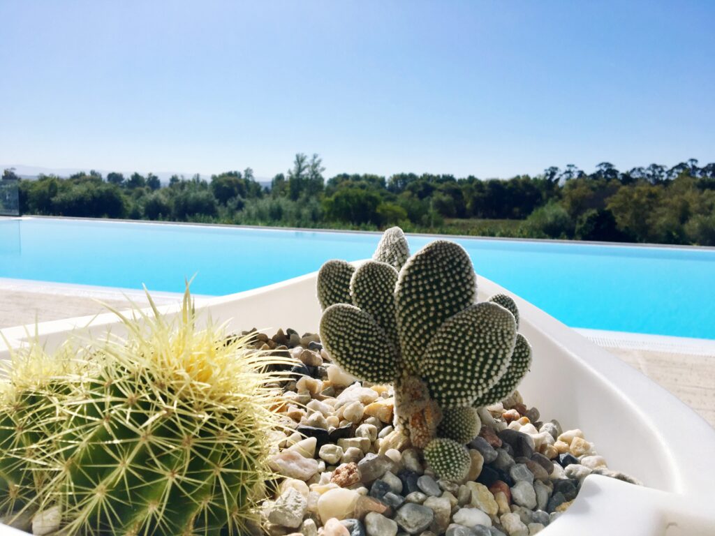 Pool Landscaping Ideas