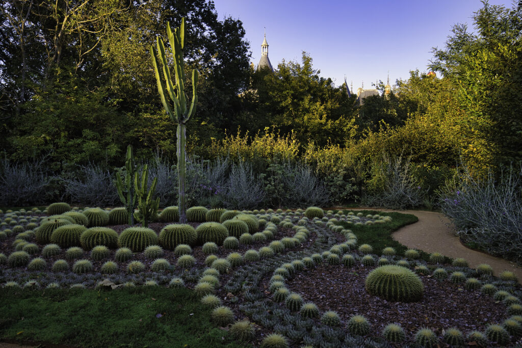 Professional Landscape Design